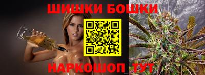 МДПВ Канаш